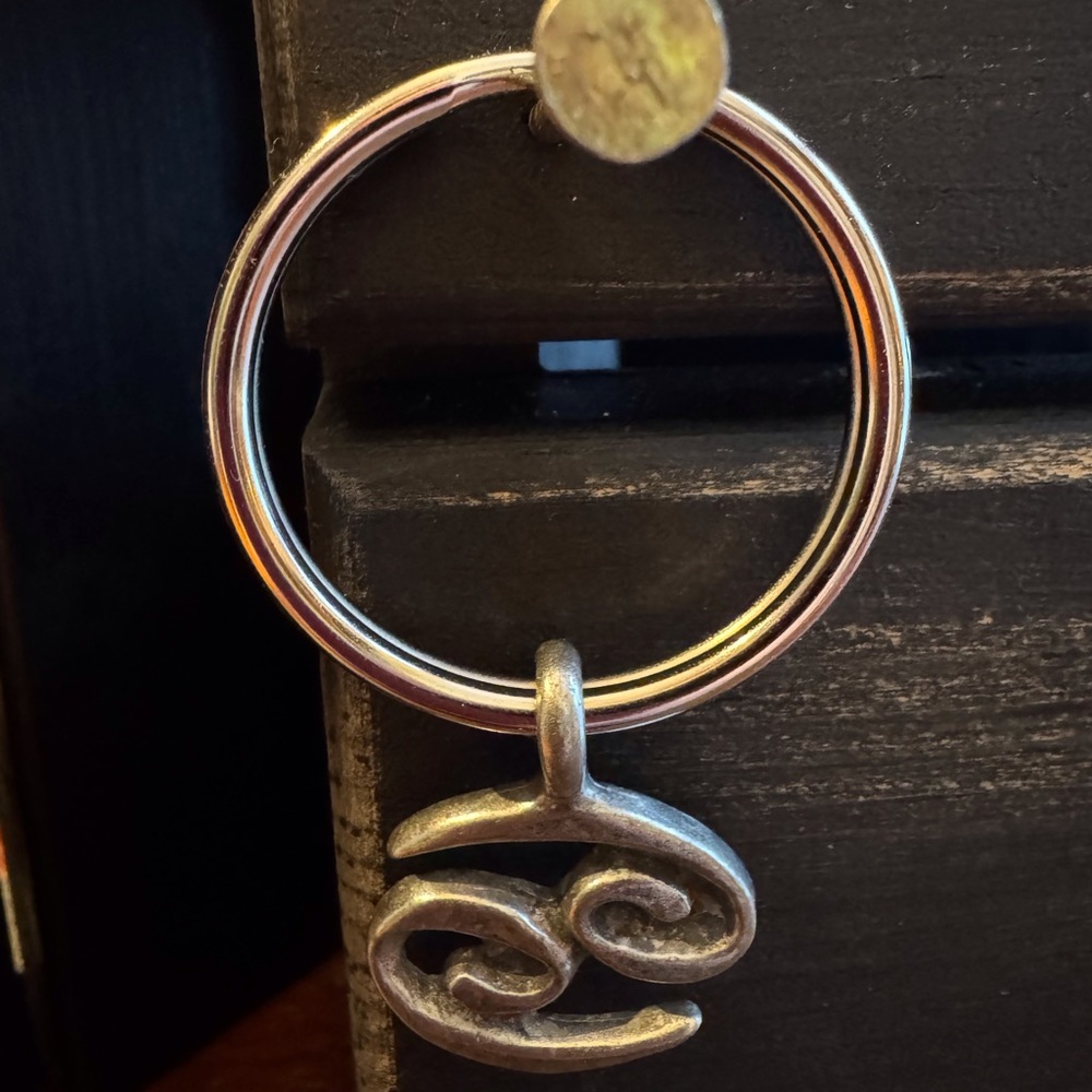 Birth Sign Key Ring - Picture 4 of 4